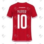 Red & White Custom Team Name Branded V-Neck Soccer Jersey