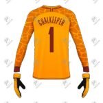 Positive Custom Sublimation Printed Gold Goalkeeper Jersey
